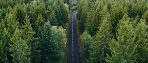 Route étroite traversant une dense forêt de conifères et feuillus, s'étendant à perte de vue.