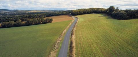 Une route de campagne sinueuse traverse une vaste étendue de champs verdoyants sous un ciel d'un bleu éclatant parsemé de nuages blancs et cotonneux.