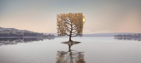 Un arbre solitaire sur une île au milieu d'un lac, avec une montre-bracelet intégrée dans son feuillage doré, sous un ciel pastel.